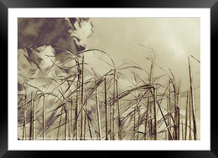 ELEPHANT GRASS Framed Mounted Print by Philip Gough