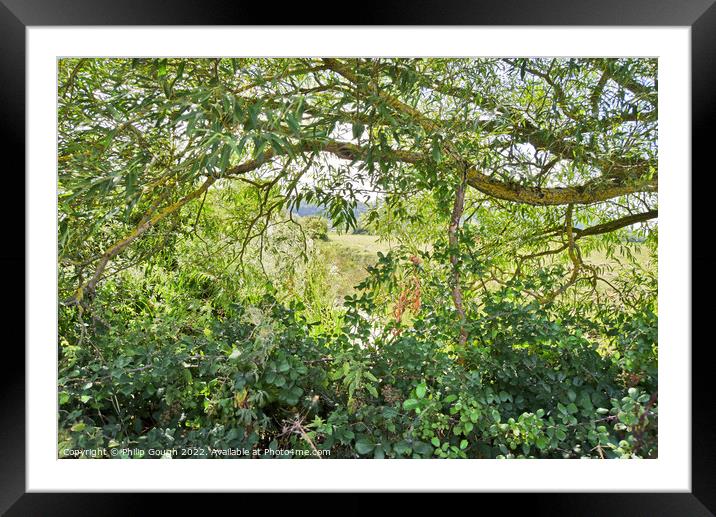 Through the trees Framed Mounted Print by Philip Gough