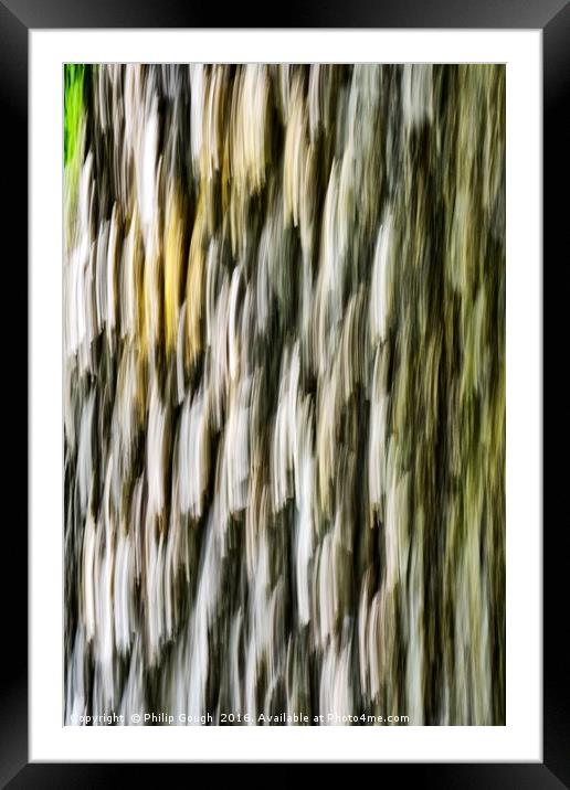 Bark Blemish Framed Mounted Print by Philip Gough