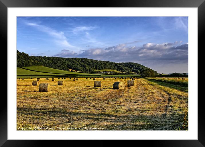 Summer on The Somerset Levels Framed Mounted Print by Philip Gough