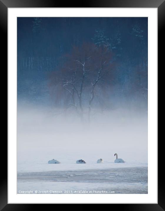 Swan Lake in Winter Framed Mounted Print by Joseph Clemson
