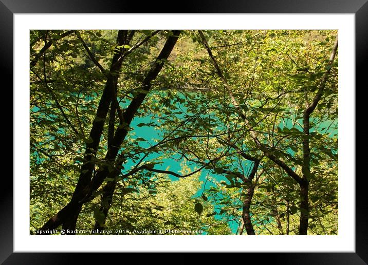 Trees and lake in Plitvice National Park Framed Mounted Print by Barbara Vizhanyo