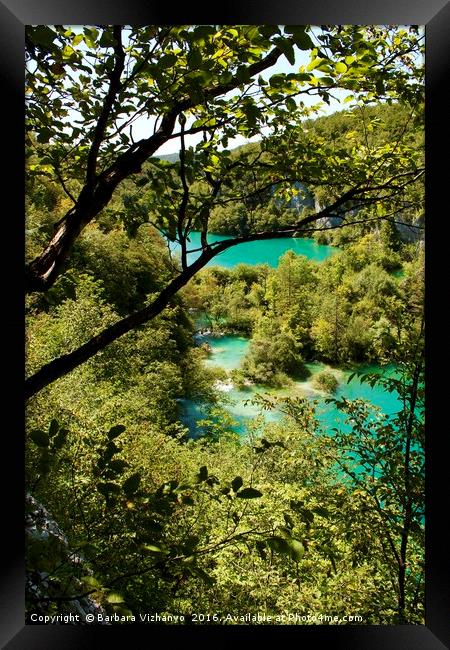 Beautiful view at a couple of lakes in Plitvice Na Framed Print by Barbara Vizhanyo