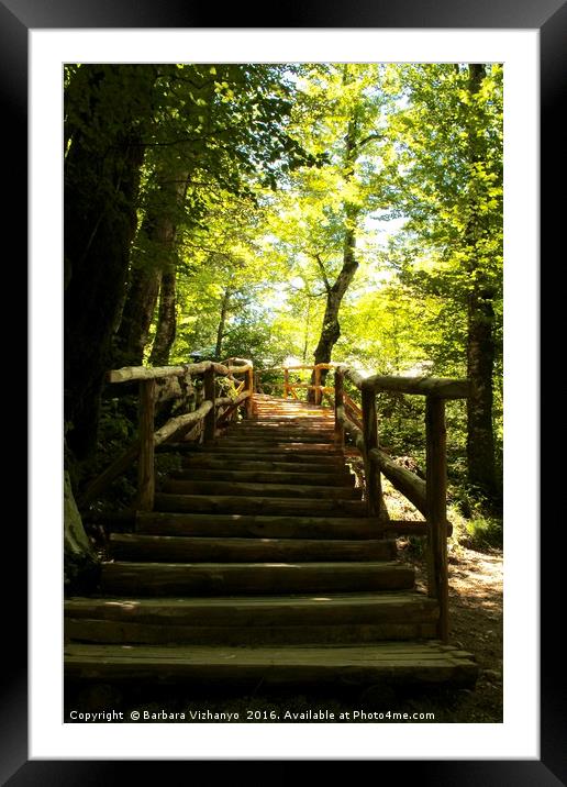 Wooden steps upwards in the forest - Plitvice Nati Framed Mounted Print by Barbara Vizhanyo