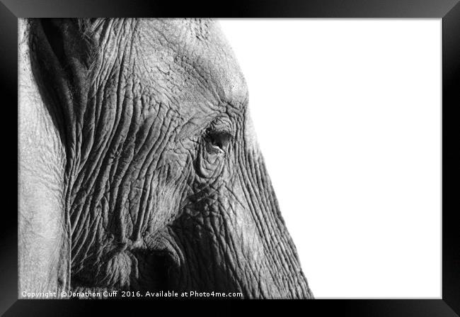 Elephant in profile. Framed Print by Jonathon Cuff