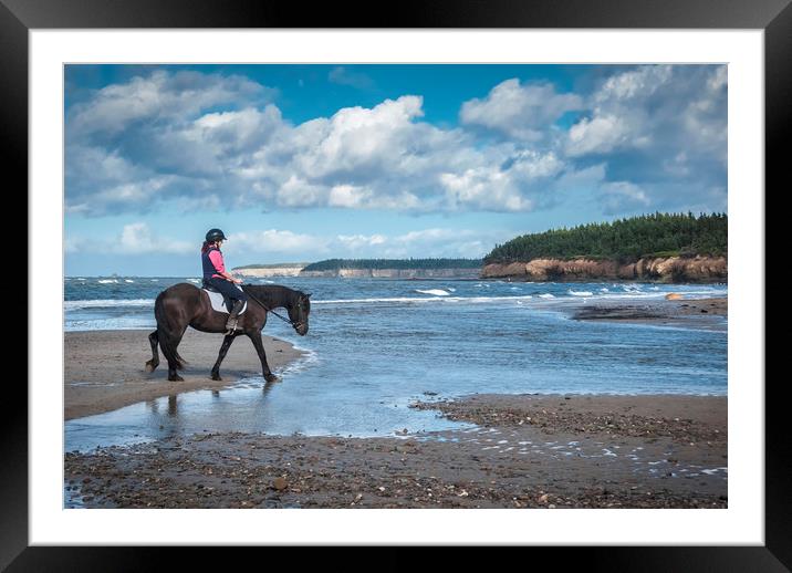 Horse by the water Framed Mounted Print by George Cairns