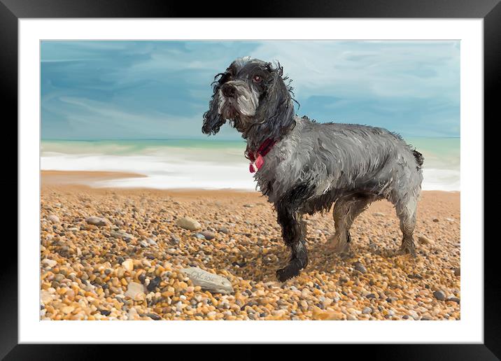Cocker Spaniel on the beach Framed Mounted Print by George Cairns