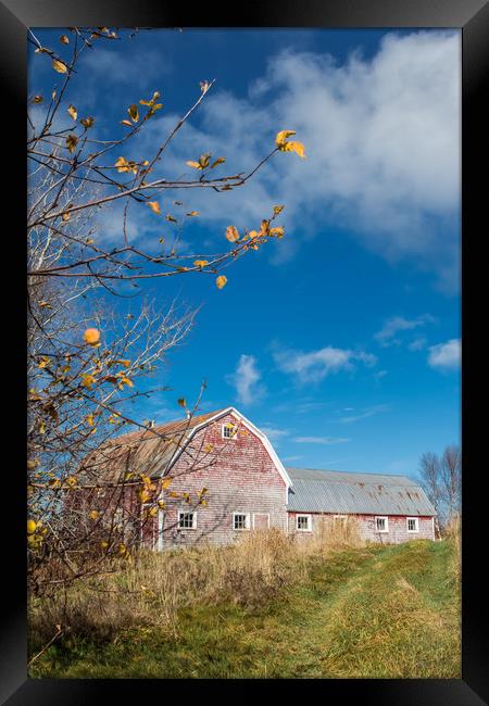 Canadian barn in Autumn Framed Print by George Cairns