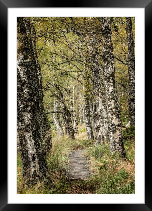 Along this path Framed Mounted Print by Janette Hill