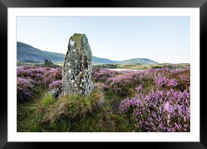  Standing Stone and Heather Framed Mounted Print by Janette Hill