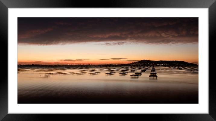 Oyster Beds at Dawn II Framed Mounted Print by Janette Hill