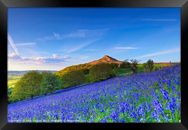 Enchanting Bluebell Woods Framed Print by John Carson