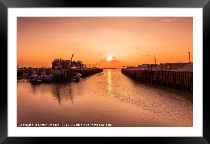Whitstable Harbour Framed Mounted Print by Wayne Lytton
