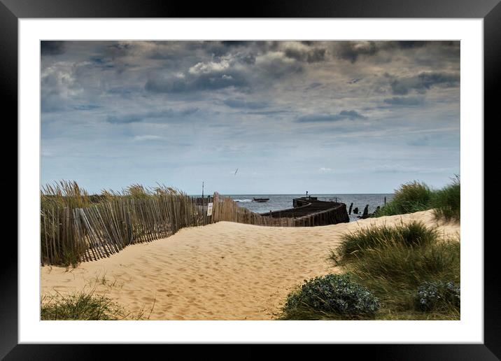 Serene Pathway to the Ocean Framed Mounted Print by Kevin Snelling