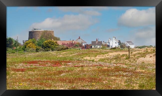Wildflowers Blossoming on the Shingle Street Framed Print by Kevin Snelling