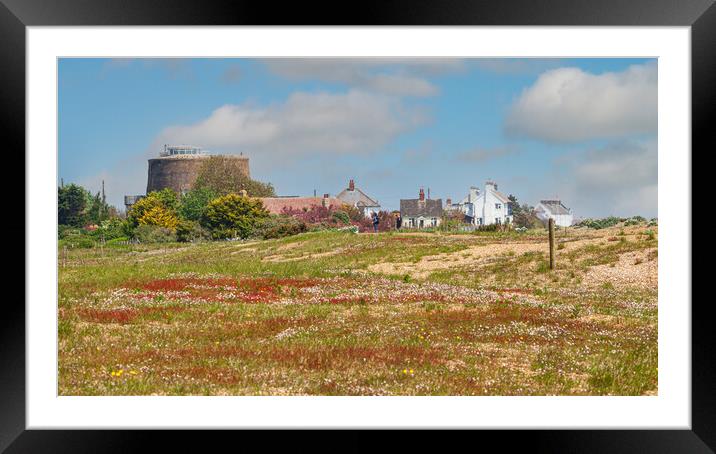 Wildflowers Blossoming on the Shingle Street Framed Mounted Print by Kevin Snelling