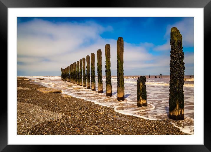 Spurn Head beach defences Framed Mounted Print by Kevin Snelling