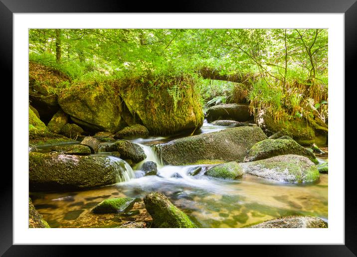The Wooded Glade Framed Mounted Print by Kevin Snelling
