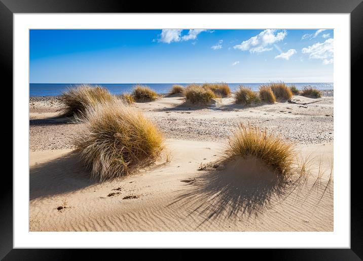 Dunes Framed Mounted Print by Kevin Snelling