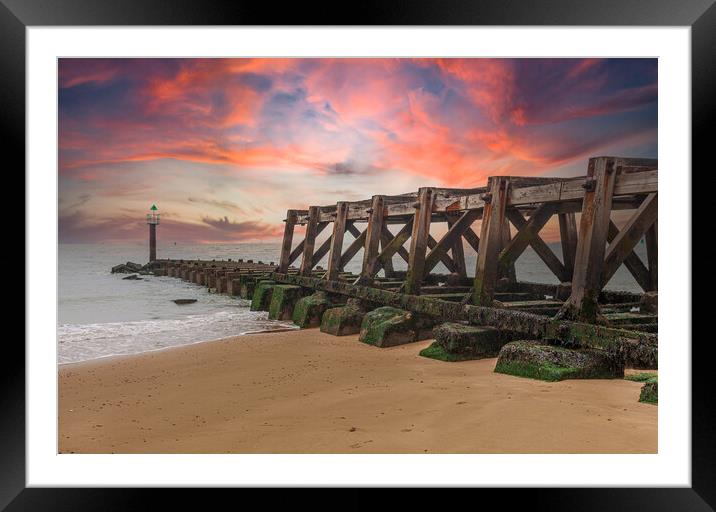 Rustic Beauty Framed Mounted Print by Kevin Snelling