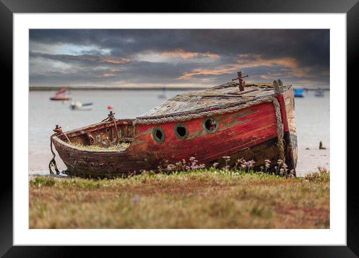 Weathered Beauty Framed Mounted Print by Kevin Snelling