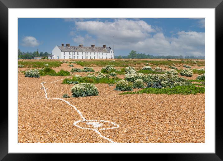 shingle street shells Framed Mounted Print by Kevin Snelling
