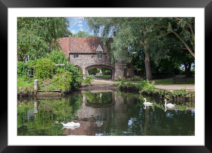 Serene Swans on Wensum Framed Mounted Print by Kevin Snelling