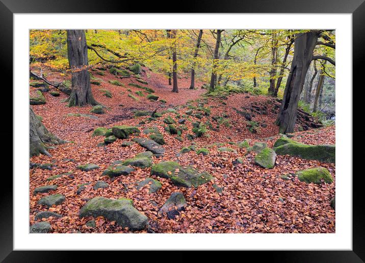 Autumn Tranquility Framed Mounted Print by Chris Harris