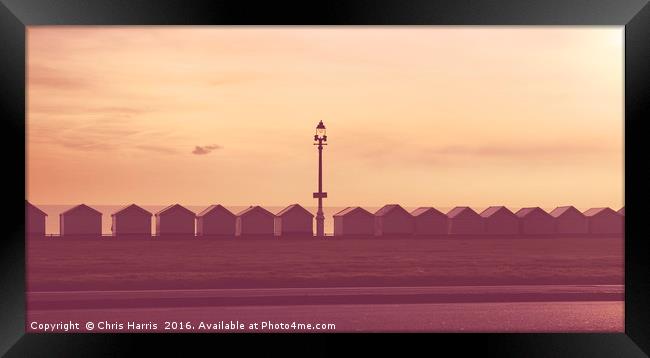 HOVE BEACH HUTS Framed Print by Chris Harris