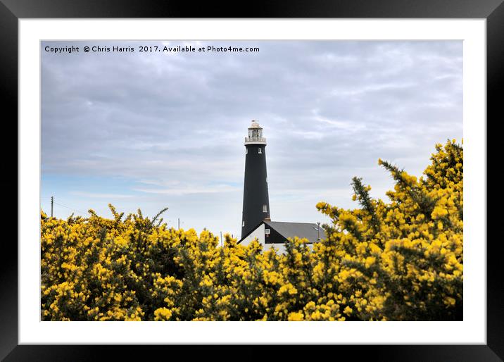The Old Lighthouse, Dungeness Framed Mounted Print by Chris Harris