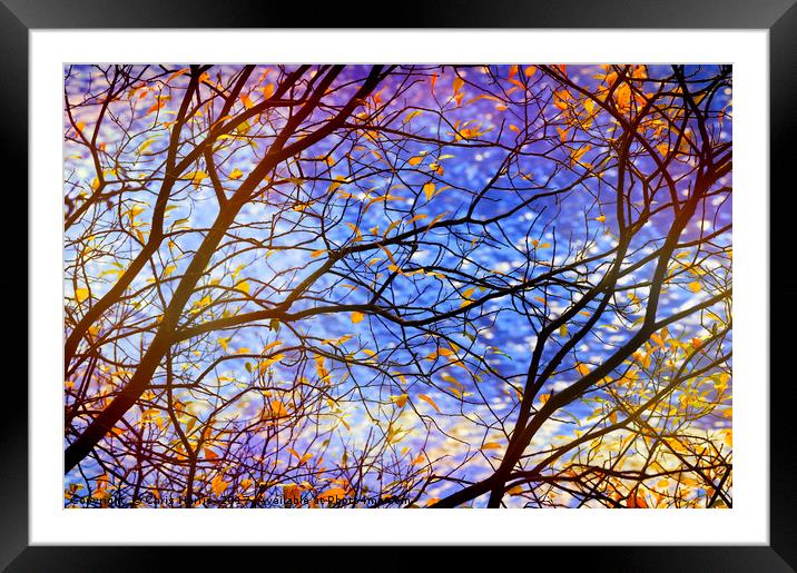 Autumn fantasia Framed Mounted Print by Chris Harris