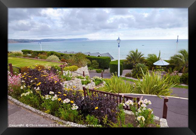 Weymouth coast from Greenhill Gardens Framed Print by Chris Harris