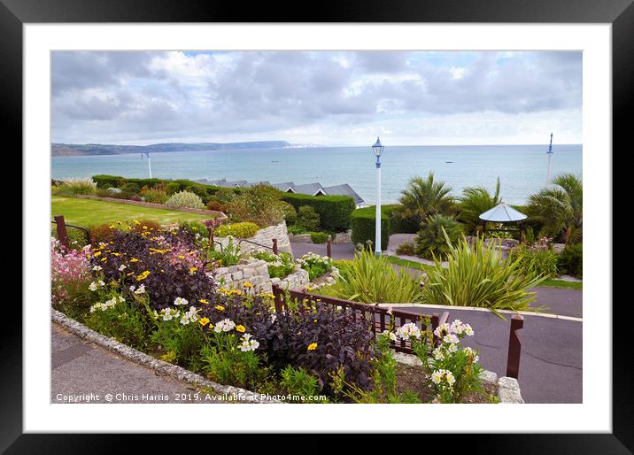 Weymouth coast from Greenhill Gardens Framed Mounted Print by Chris Harris