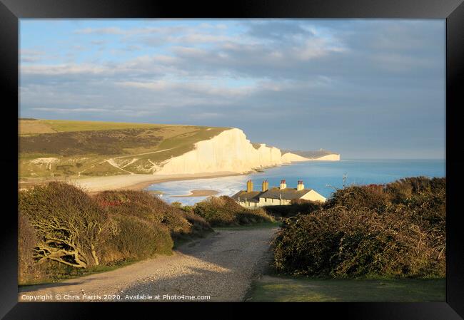 Seven Sisters from Seaford Head Framed Print by Chris Harris