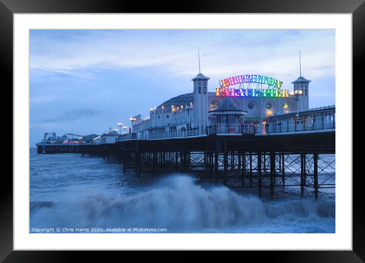 Brighton Pier at dusk Framed Mounted Print by Chris Harris