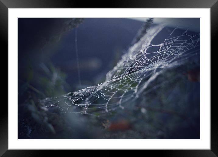 Spider Web Framed Mounted Print by bliss nayler