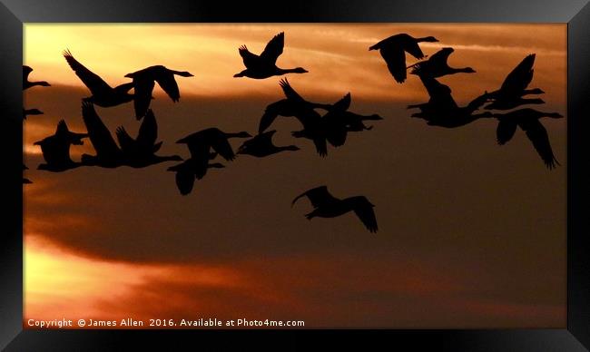 ''Sunset Fly Past'' Framed Print by James Allen