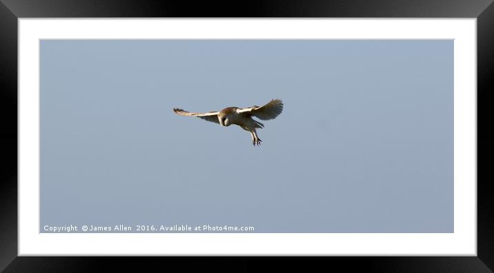 Barn Owl Putting On a Show Framed Mounted Print by James Allen