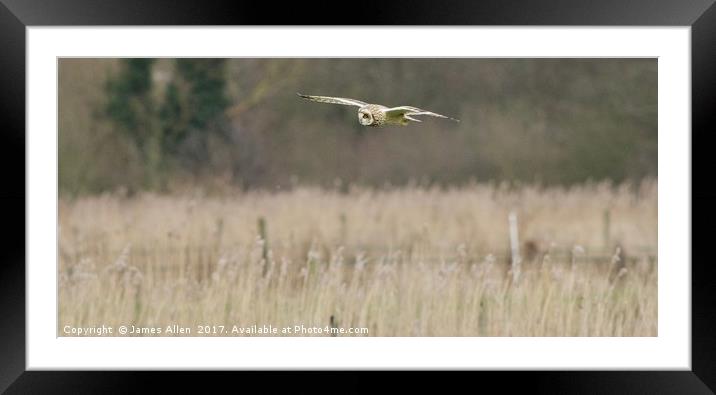 On the look out!  Framed Mounted Print by James Allen