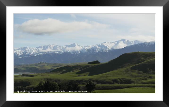 Kiakoura Framed Mounted Print by Isobel Rees