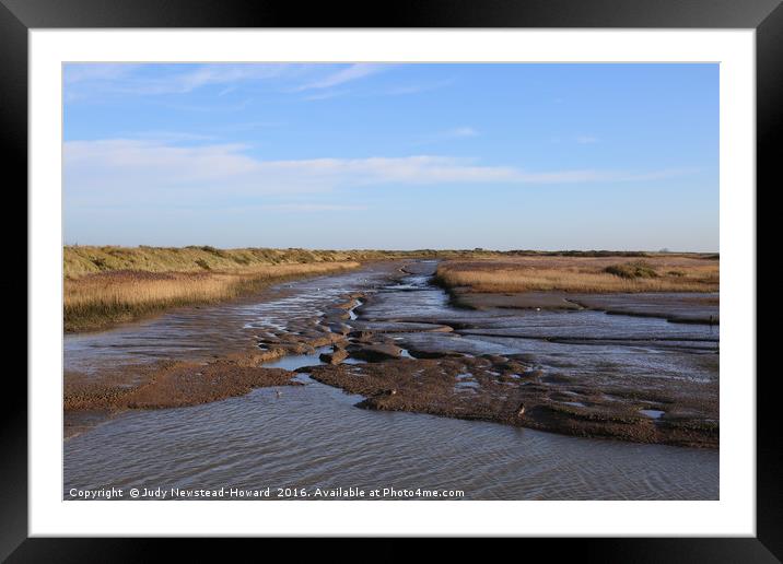 Marshland at Titchwell Beach, Norfolk Framed Mounted Print by Judy Newstead-Howard