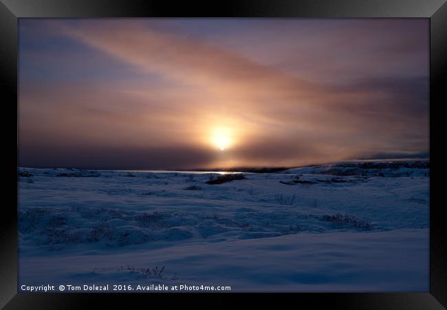 Icelandic winter sun Framed Print by Tom Dolezal