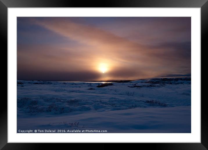 Icelandic winter sun Framed Mounted Print by Tom Dolezal