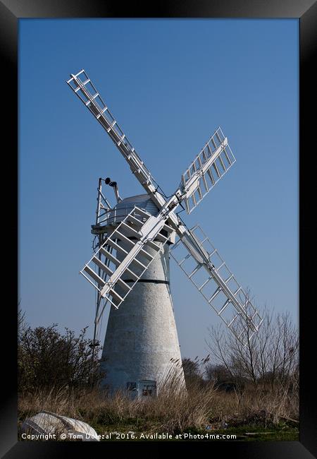 A windmill on the Norfolk Broads Framed Print by Tom Dolezal