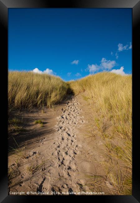 Footprints in the sand Framed Print by Tom Dolezal