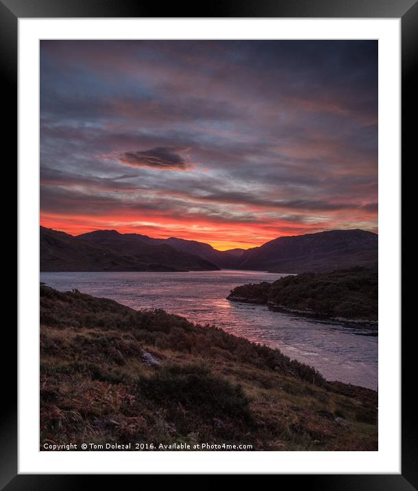 Red Highland sunrise Framed Mounted Print by Tom Dolezal