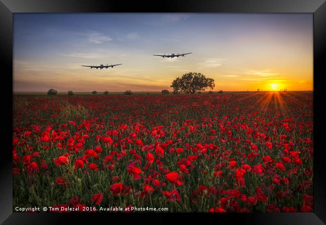 Returning Lancasters Framed Print by Tom Dolezal