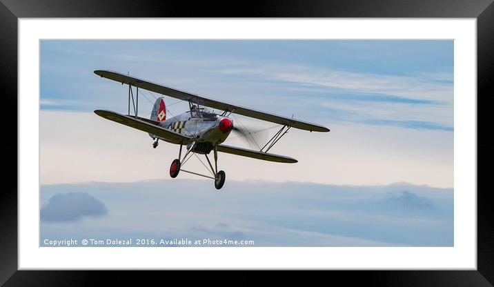 Hawker Fury Framed Mounted Print by Tom Dolezal
