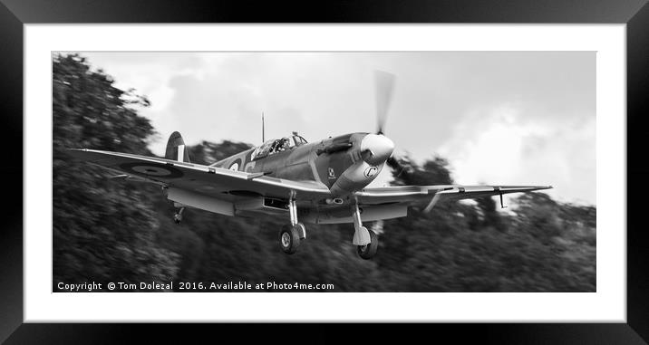 Landing Spitfire monochrome Framed Mounted Print by Tom Dolezal