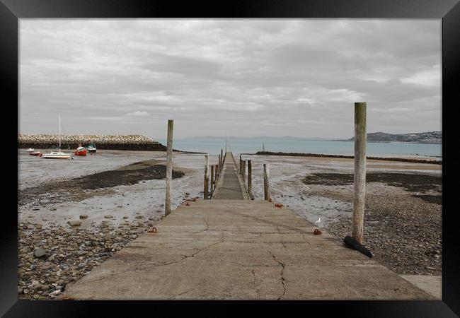 Rhos-On-Sea Framed Print by Terry Anderson